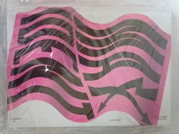 스트레이 키즈 MAXIDENT 한정판 Go ver 미개봉 새상품