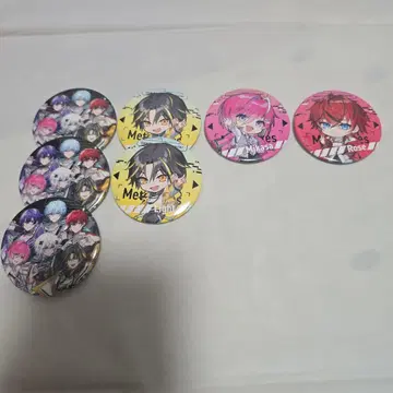 메테오라 무도관 비쥬 캔뱃지