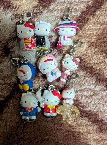 지역 한정 키티 지퍼 8개 세트 묶음 판매