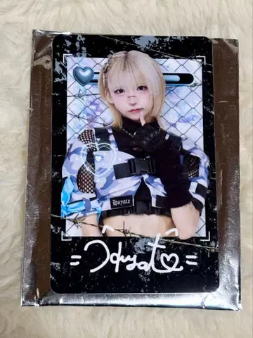 러브식 하야테 폴라로이드풍 트레이딩 카드