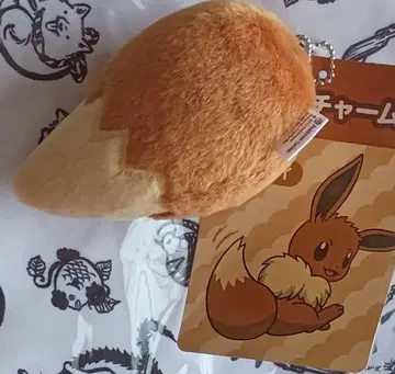 이브이의 꼬리 참