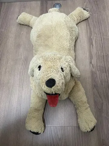 강아지 봉제 인형 약 70cm 베이지