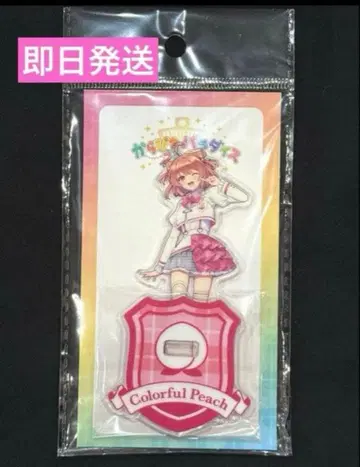 새상품 컬러풀피치 노아님 아크릴 스탠드 파라피치 2025