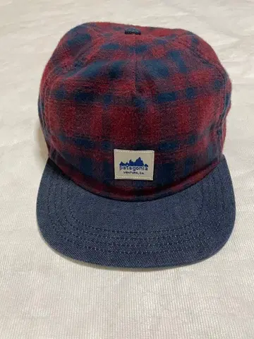 Patagonia 렌 캡