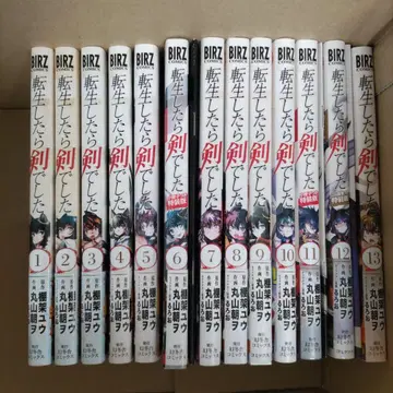 전생했더니 검이었습니다. 13