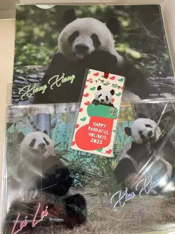 우에노 팬더 패밀리 클리어 파일 책갈피 세트