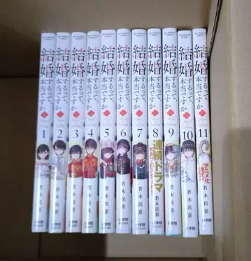 [ 완결 ] 전 11권 결혼하는 건가요, 정말로