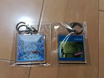 P-MODEL (히라사와 스스무) 아크릴 키링 2개