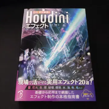 오로지 실천! Houdini 이펙트