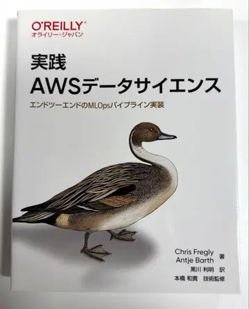 실천 AWS 데이터 사이언스: 엔드 투 엔드 MLOps 파이프라인 구현