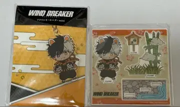 AGF WIND BREAKER 윈브레 신년 마즐 벚꽃 2종 세트