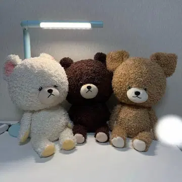 곰돌이 학교 봉제 인형 3체 세트