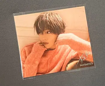 야기 유세이 아더 자켓 B