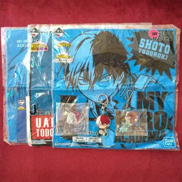 히로아카 토도로키 쇼토 묶음 판매