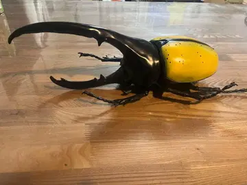 헤라클레스 장수풍뎅이 거대 피규어