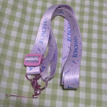 SEVENTEEN 정한 숄더 스트랩