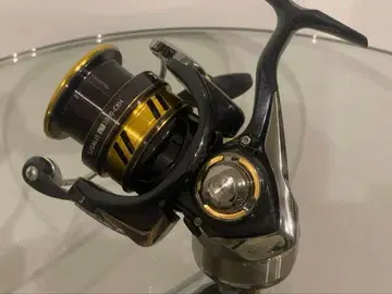 레갈리스 3000 CXH