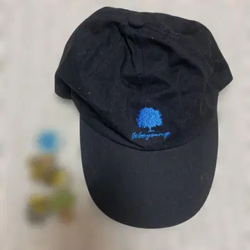 2PM 우영 캡 핀 배지 세트