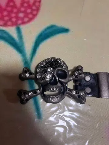 버클, 해골, 해골