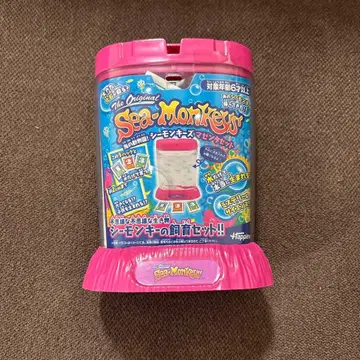 씨몽키즈 마젠타