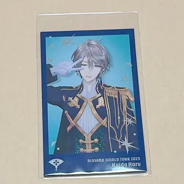 니지산지 WORLD TOUR 2025 폴라로이드 카이다 하루