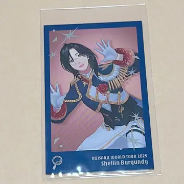 니지산지 WORLD TOUR 2025 폴라로이드 셰린 버건디