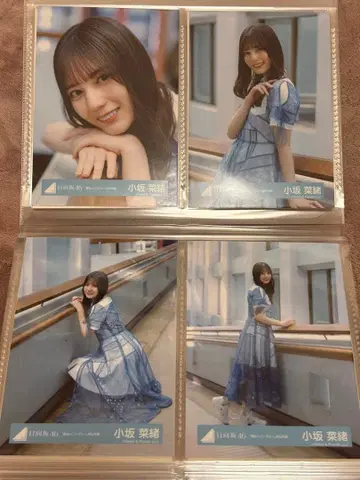 코사카 나오 너는 허니듀