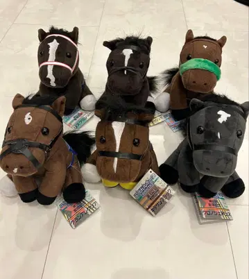 새상품급 아이돌 호스 묶음 판매