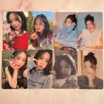 아이돌 사진 카드 세트 8장