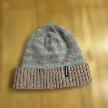 Patagonia 하프 팬츠, 니트 모자