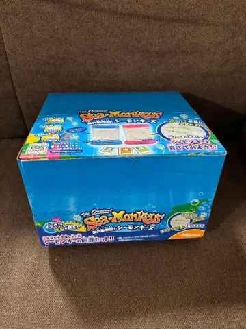 시몽키즈 마젠타 6개 세트