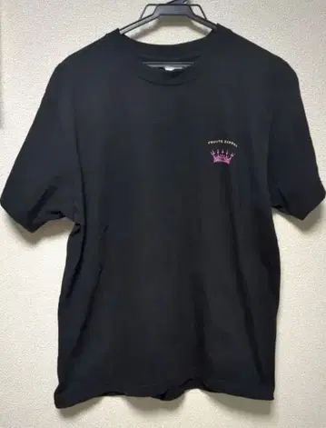 FRUITSZIPPER 2024년 가을 투어 반팔 T셔츠