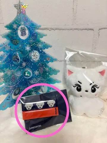 ENHYPEN JUNGWON Artist-Made 헤어핀