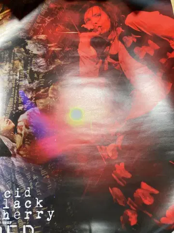 Acid Black Cherry 2009TOUR Q.E.D. 포스터