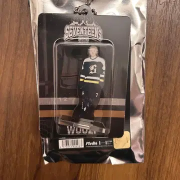 SEVENTEEN HOME 우지 아크링 키링