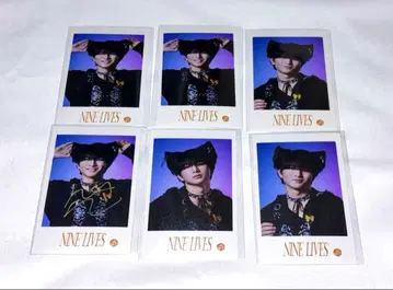 초특급 카시와기 하루 미니 사진 브로마이드 NINE LIVES