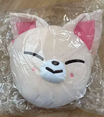 straykids 스키즈 폭시니 Foxy.Ny 쿠션