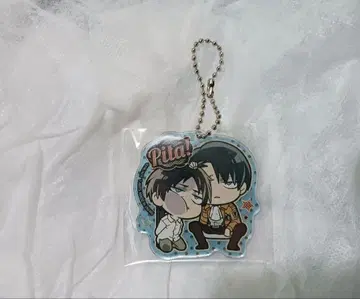 진격의 거인 ! 리바이 엘렌