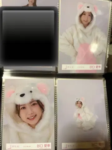 사쿠라자카46 타니구치 아이리 브로마이드 동물 코디