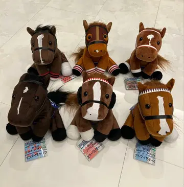 새상품급 아이돌 호스 6체 세트