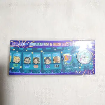 [ SUPER EIGHT ] 칸쟈니 18 페스티벌 돔 핀 배지