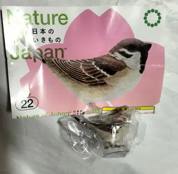 [ 익명 배송 ] 네이처 테크니컬러 일본의 생물 참새 가챠