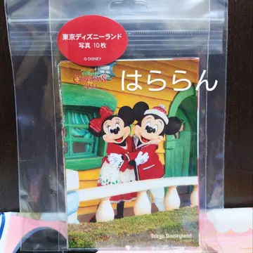 2023 디즈니랜드 크리스마스 사진 디즈니 크리스마스 스토리