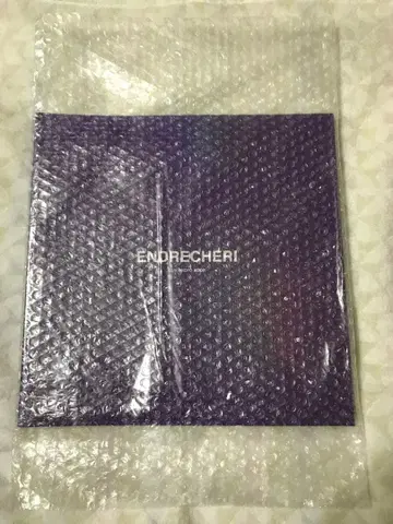 ENDRECHERI LIVE PHOTO BOOK