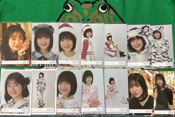 사쿠라자카46 오오조노 레이 브로마이드 묶음 판매 41장