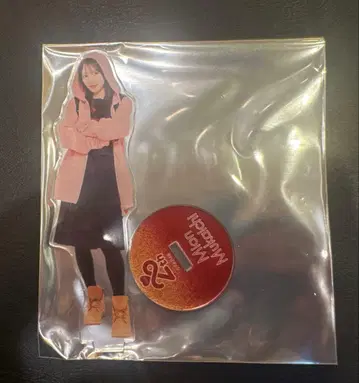 무카이치 미온 AKB48 SPECIAL 복권 아크릴 스탠드