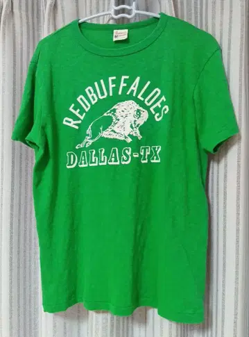 Champion 로체스터 반팔 T셔츠 M 사이즈 그린