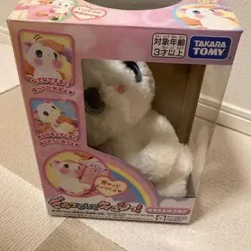 꽉 안아줘 심쿵! 응석받이 아기 고양이