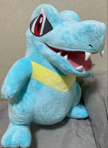 봉제 인형 등신대 와니노코 포켓몬 센터 공식