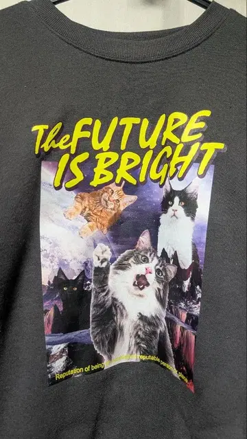 노브랜드 우주 고양이 맨투맨 귀여운 동물 프린트 맨투맨 캣